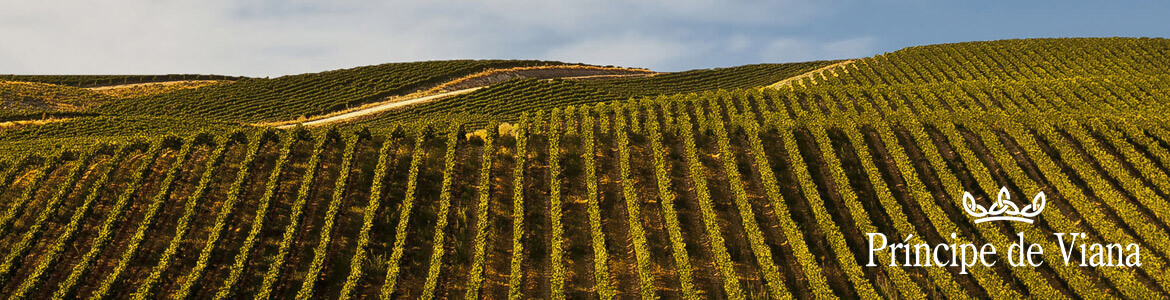 Wine & Dine: Spanien